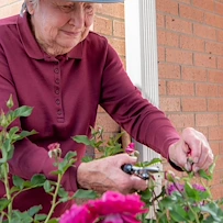 Life at The Suites at Clermont Park Care Center-photo-4