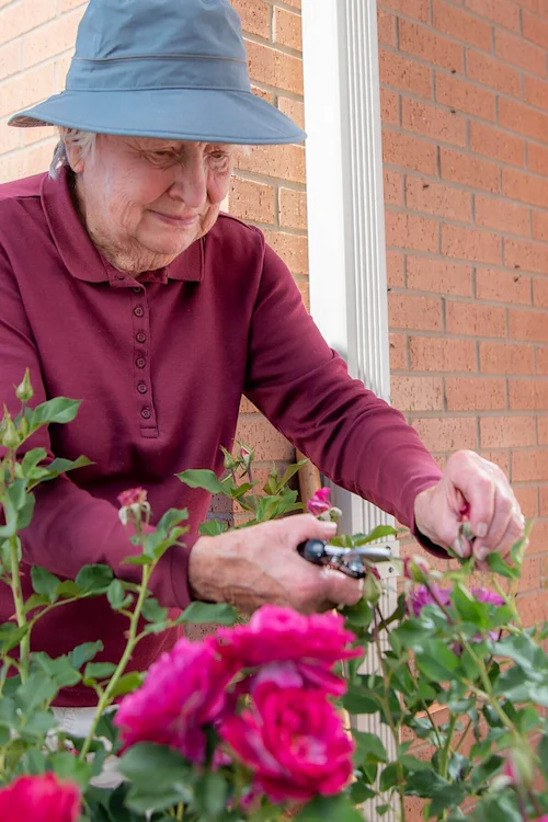 Life at The Suites at Clermont Park Care Center-photo-4
