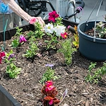 Life at Southfield Village Healthcare-photo-3