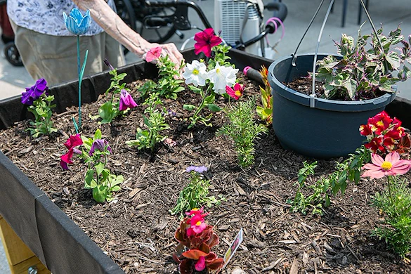 Life at Southfield Village Healthcare-photo-3