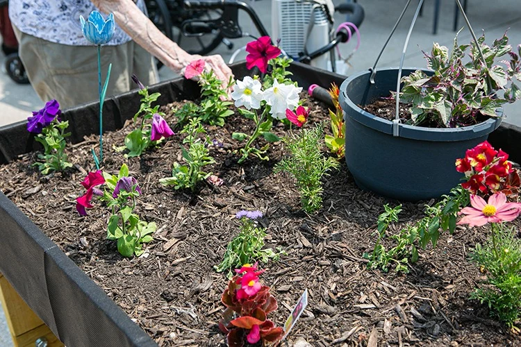 Life at Southfield Village Healthcare-photo-3