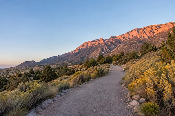 Independent Living in Albuquerque, NM - Senior Care Finder