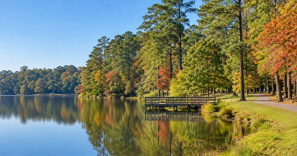 Assisted Living in Cary, NC: Costs and Communities