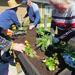 Fieldstone Memory Care of Marysville gardening activity