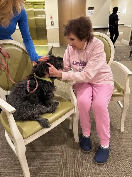 Residents at the Waters of Eden Prairie had the privilege of playing with some furry friends thanks to one of the local animal rescues