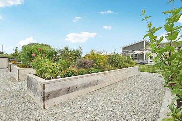 Life at Dogwood Commons-photo-13