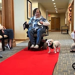 One of the Waters of Plymouth residents interact with one of the dogs from the dog parade