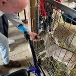 The Arbor at Avamere Court Assisted Senior Living in Keizer, Oregon resident at the petting zoo