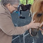 Stoneridge Gracious Retirement Living Hawthorn Senior Independent Living in Cary, North Carolina resident petting a horse