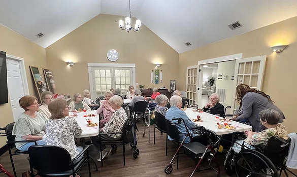 Life at The Manor on Lawndale-photo-3