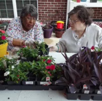 Life at Ashford Place Senior Living-photo-1