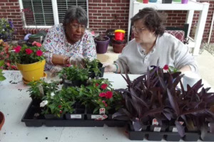 Life at Ashford Place Senior Living-photo-1