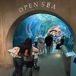 The Arbor at Avamere Court Assisted Senior Living in Keizer, Oregon residents at the aquarium