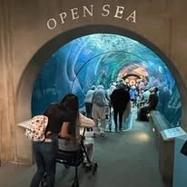 The Arbor at Avamere Court Assisted Senior Living in Keizer, Oregon residents at the aquarium
