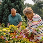 Fieldstone Memory Care of Silverdale residents gardening