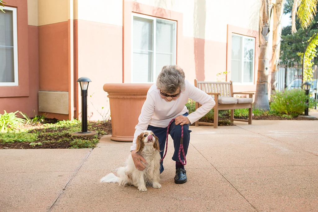 Life at AlmaVia of Camarillo-photo-1