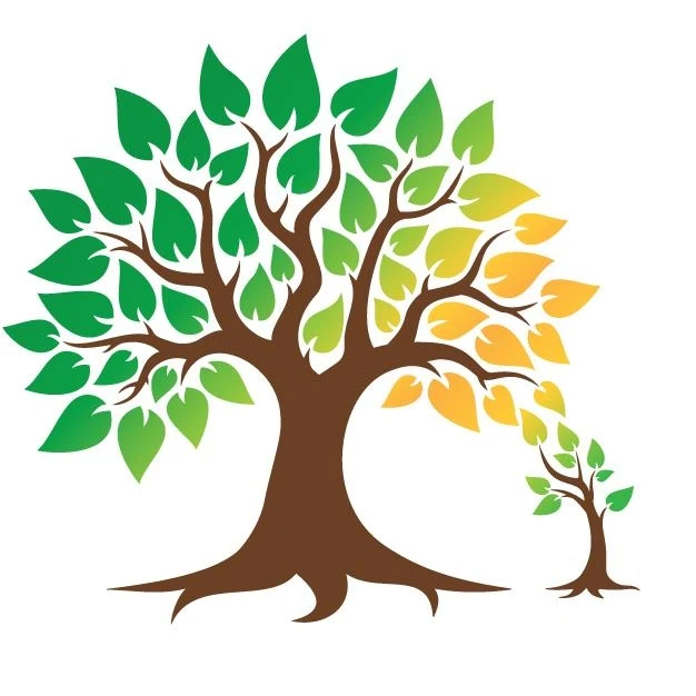 Image of Queen City Transitions (1)