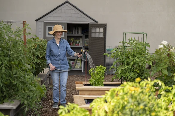 Life at Heron's Key-photo-5