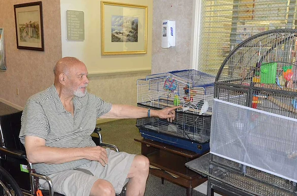 Life at CrownPointe of Stevensville-photo-3