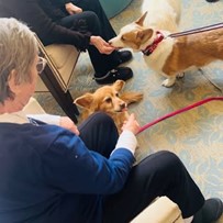 Residents of the Waters of Highland Park enjoying some one-on-one pet therapy