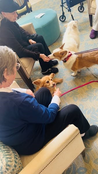 Residents of the Waters of Highland Park enjoying some one-on-one pet therapy