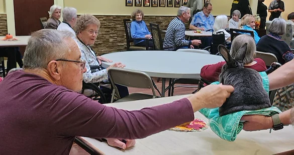 Life at Canton Regency-photo-4