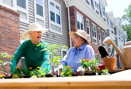 Life at Brightview Holmdel - Opening Spring 2025!-photo-6