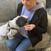 Sonata Coconut Creek senior petting a puppy