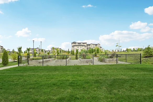 Life at Dogwood Commons-photo-14