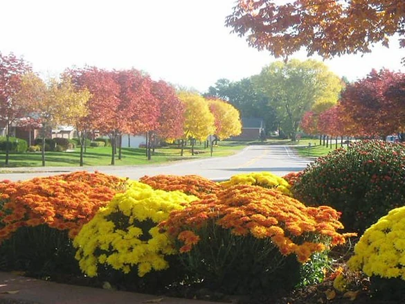 Life at Ridgeview Highlands-photo-7