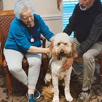 visiting with a doodle