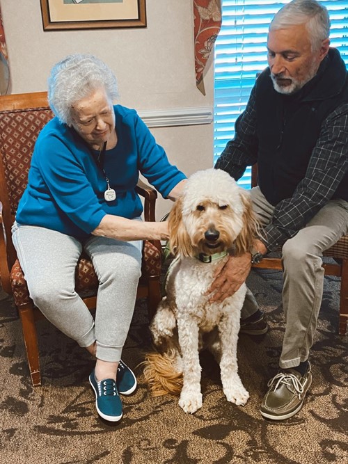 visiting with a doodle