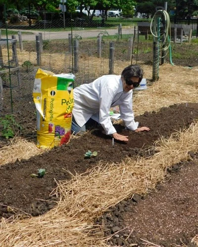 Life at The Simeanna Apartments-photo-1