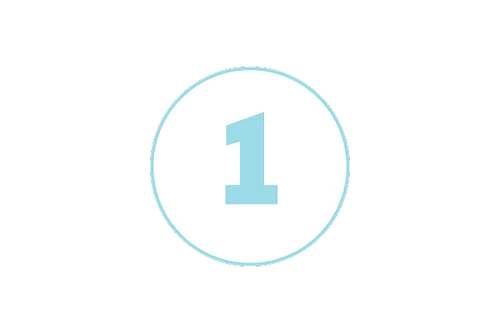 key feature 1