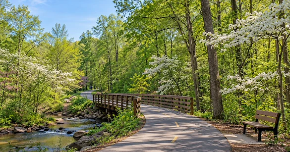 Independent Living in Cary, NC: Costs and Options