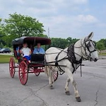 residents being drawn by a horse at Ascension Living Sacred Heart Village Senior Living in Avilla, Indiana