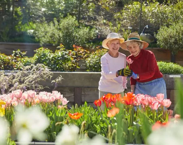 Life at The Sequoias Portola Valley Senior Living-photo-1