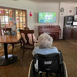 Hawthorne Woods by New Perspective in Washington, PA, residents watching a movie together