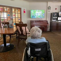 Hawthorne Woods by New Perspective in Washington, PA, residents watching a movie together