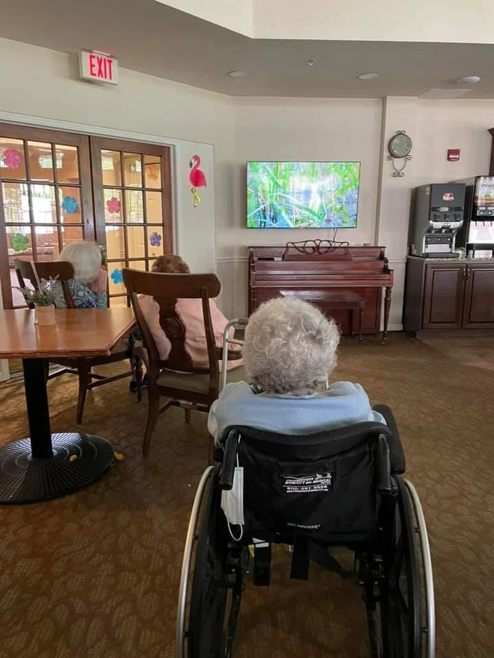 Hawthorne Woods by New Perspective in Washington, PA, residents watching a movie together