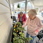 Seniors at Charter Senior Living of Jackson in Jackson, TN, planting flowers in a planter box outside the building, promoting outdoor activities and community engagement in assisted living and memory care.