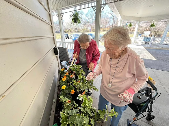 Seniors at Charter Senior Living of Jackson in Jackson, TN, planting flowers in a planter box outside the building, promoting outdoor activities and community engagement in assisted living and memory care.