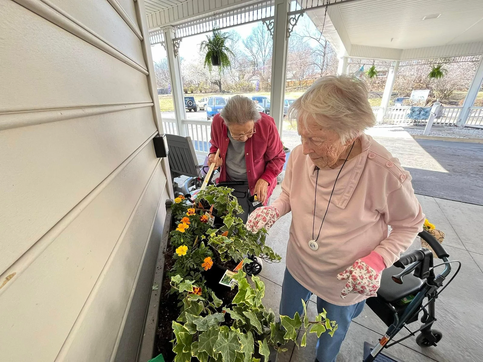 Seniors at Charter Senior Living of Jackson in Jackson, TN, planting flowers in a planter box outside the building, promoting outdoor activities and community engagement in assisted living and memory care.