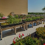 Life at Eastmont Senior Living-photo-1