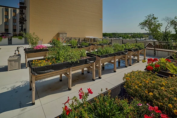 Life at Eastmont Senior Living-photo-1