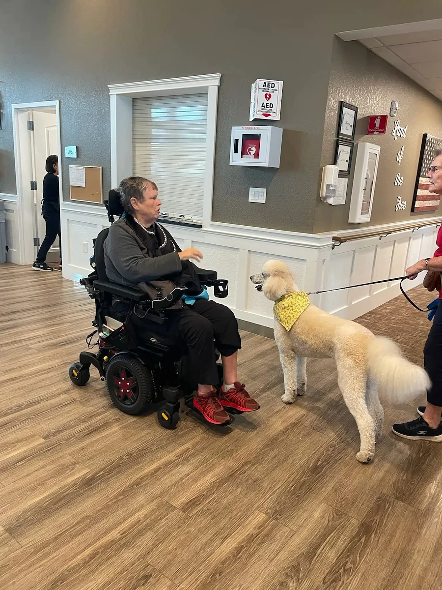 Life at Hampton Manor of Merritt Island-photo-4