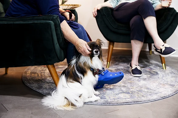 Life at Sanders Flats by Eventide-photo-1