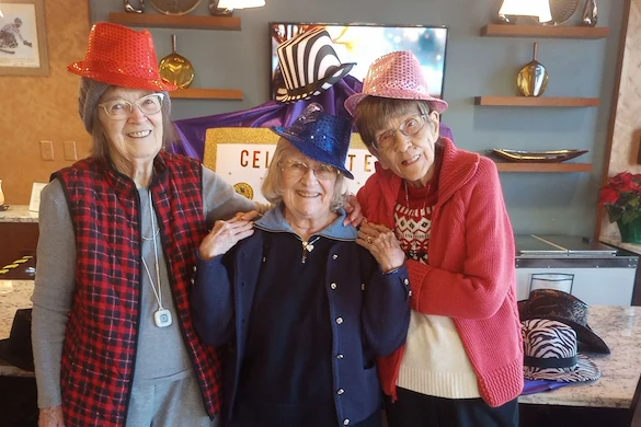 Life at The Villa at Sunny Vista-photo-2