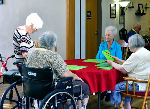 Life at Garden Place at Millstadt-photo-4
