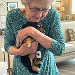 Calumet Trace - a Charter Senior Living Community resident loving a visit from puppies